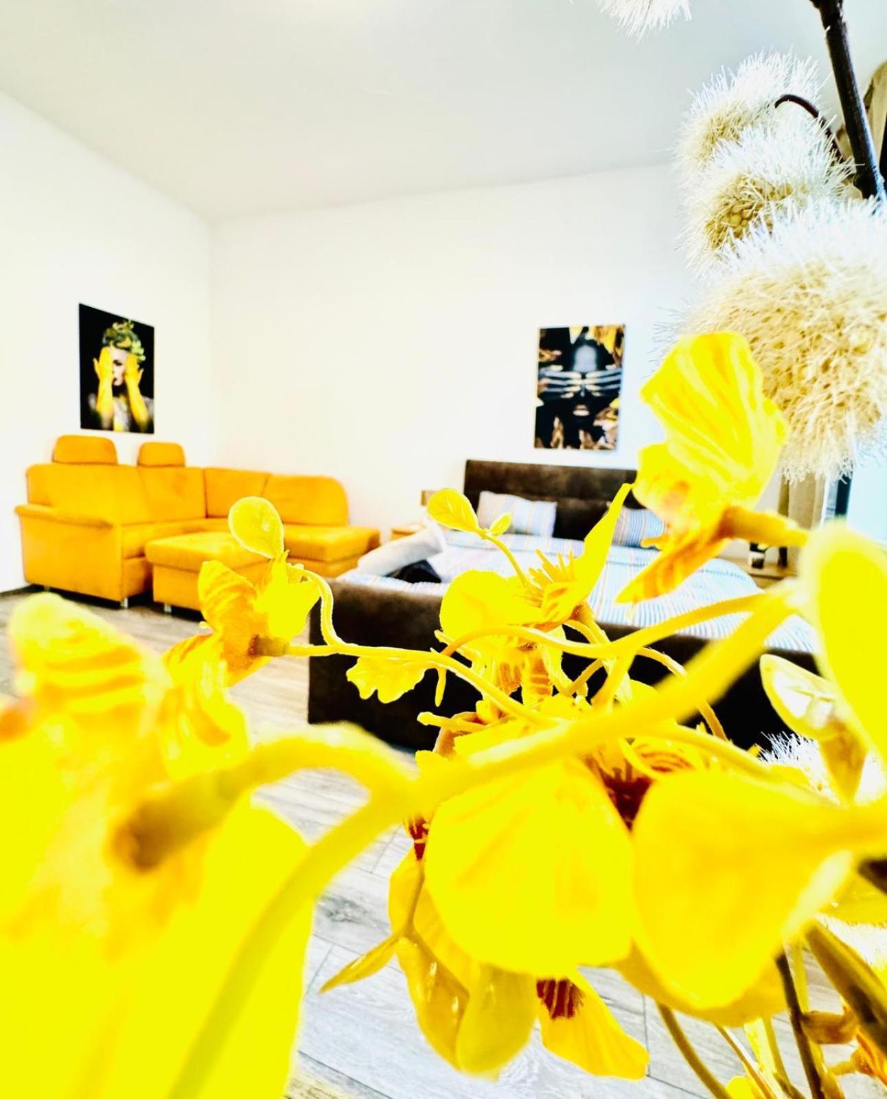 3br For 9p, 10min To Fac Platz Apartment