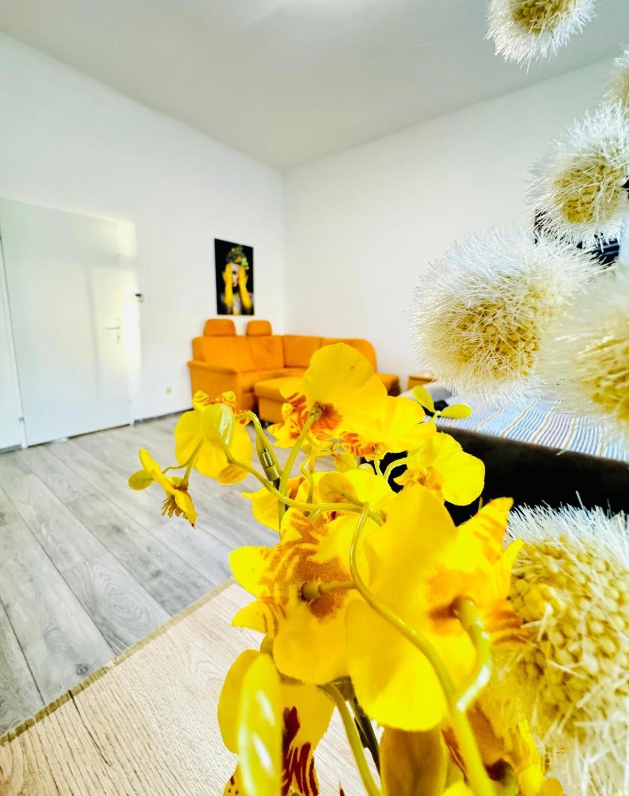 Apartment 3br For 9p, 10min To Fac Platz *
